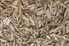 biomass boilers Lunanhead