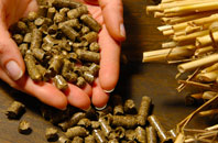 free Lunanhead biomass boiler quotes